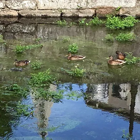 Fuentes * Caldas de Reis