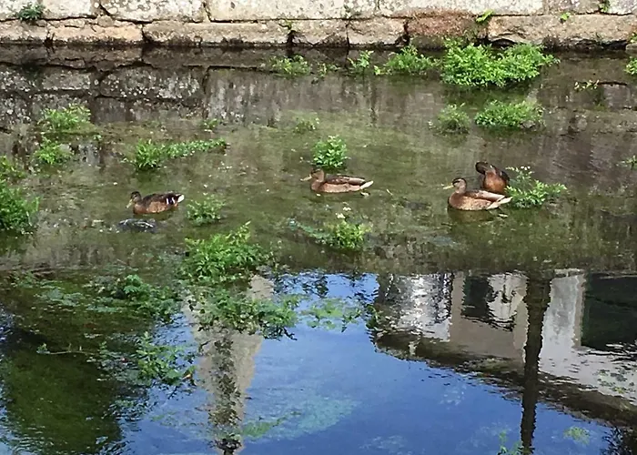 Fuentes * Caldas de Reis